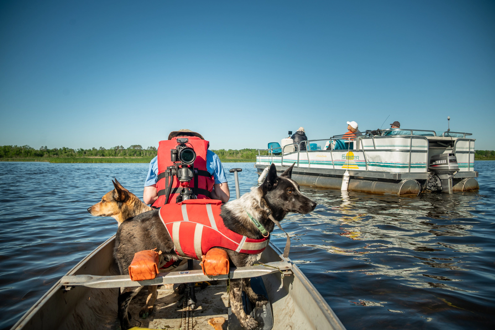 20220617-_DSC9061_result