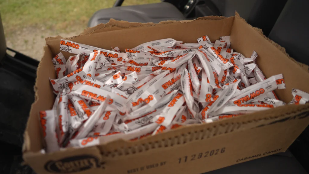 Rodeo Pics_01_00_44_06_result