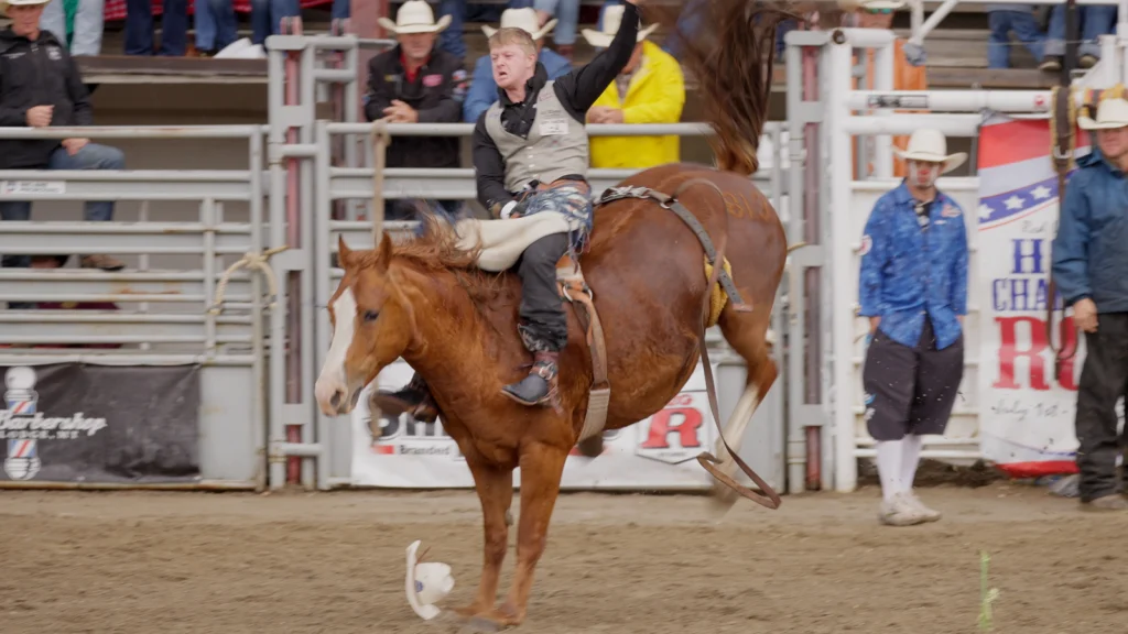 Rodeo Pics_01_02_34_23_result